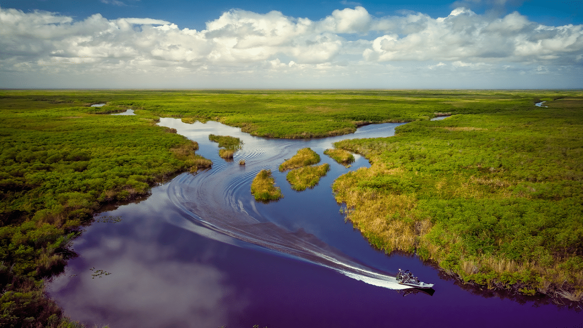 VISITE O PANTANAL COM O SESC – ES