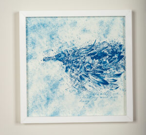 Albatroz (Albatross)