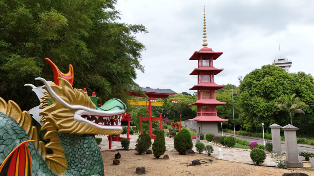 dji_fly_20231231_100928_0106_1704048094153_photo