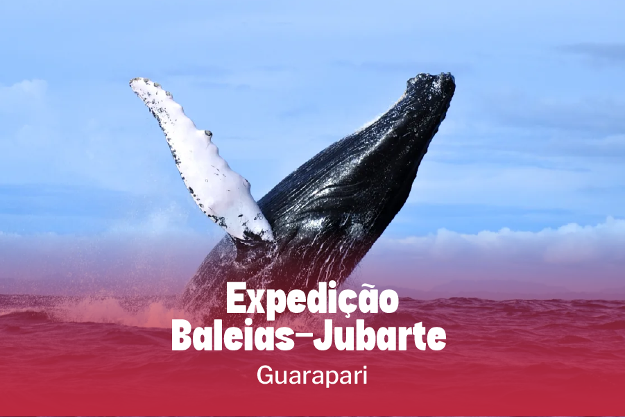Expedição Baleias-Jubarte | 13/09